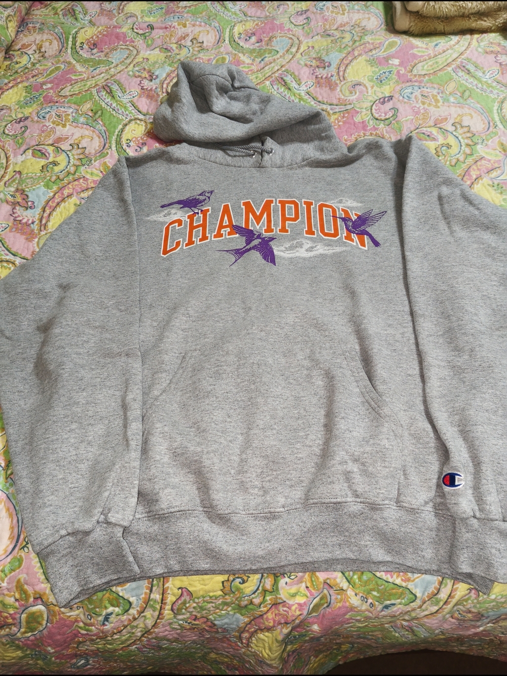 Champion Gray Hoodie with Orange Lettering and Purple Bird Accents